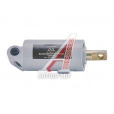 Цилиндр ЗИЛ,КАМАЗ,МАЗ,УРАЛ пневматический 30х25 выключения подачи топлива АВТОКОМПОНЕНТ — 100-3570110 (16.3570110)