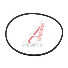 Ремень ПАЗ-3205 генератора RUBENA — 1500-11х10